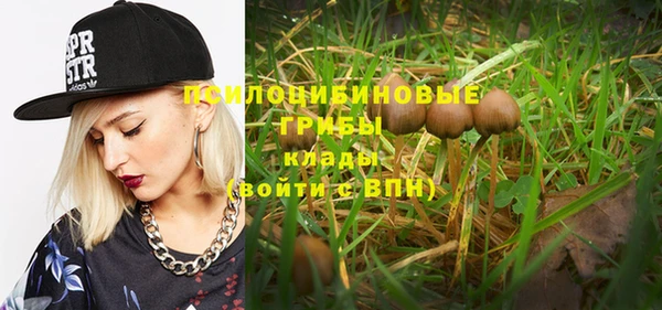 apvp Горно-Алтайск