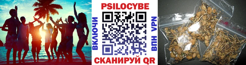 Псилоцибиновые грибы ЛСД Онега